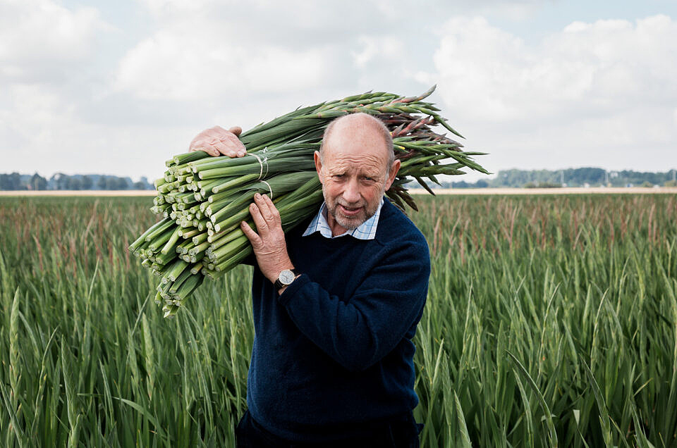 Waitrose Gladioli Campaign